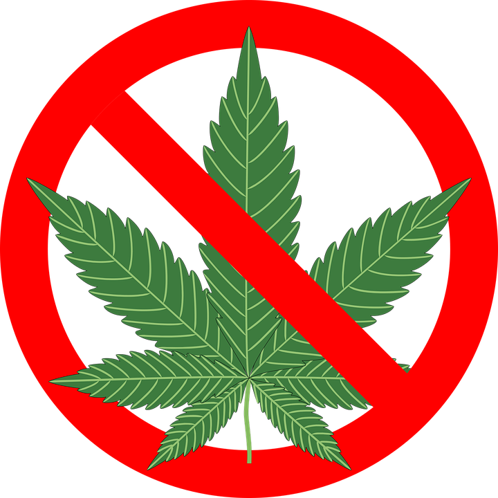 The dangers of Maine’s marijuana law