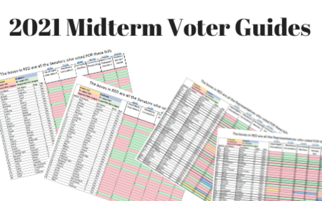2021 Midterm Voter Guides