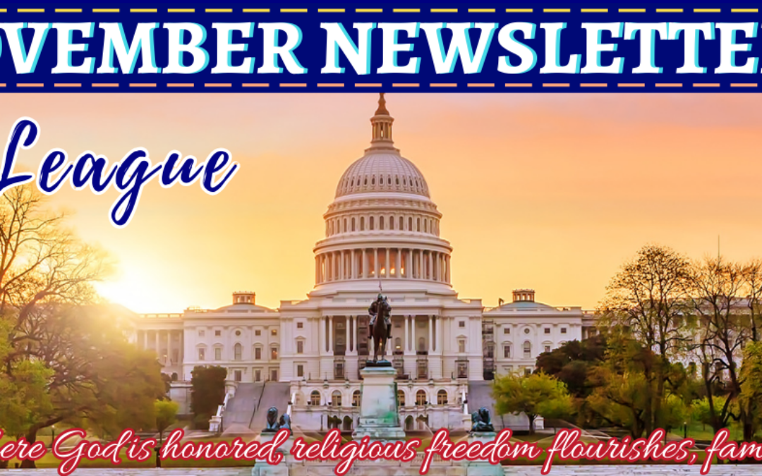 November 2024 – Monthly Newsletter