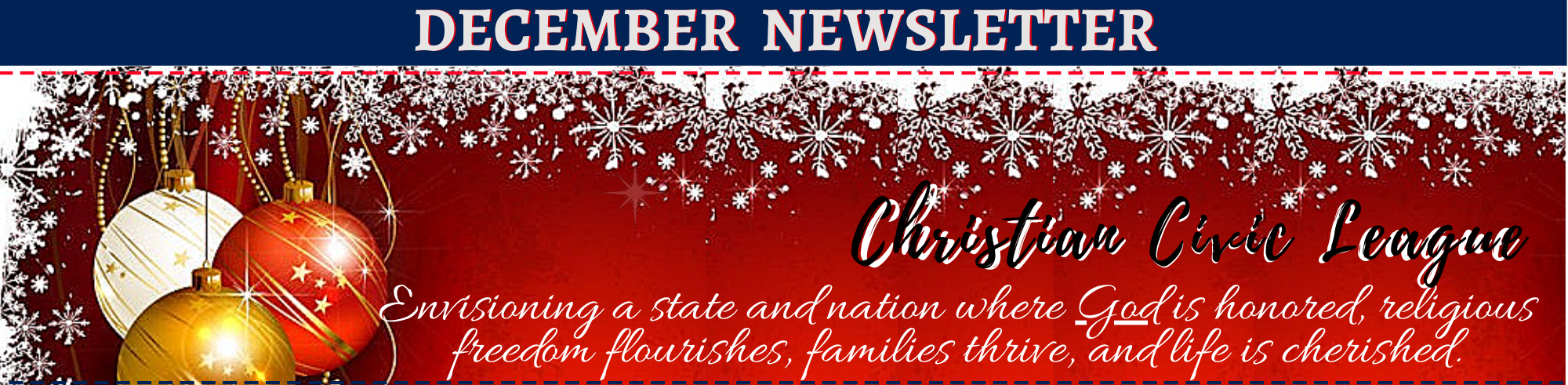 January Newsletter Banner